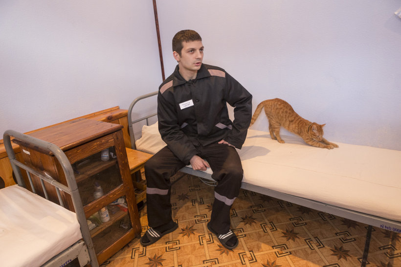 Новый Год Строгого Режима Новый Год Строгого Режима